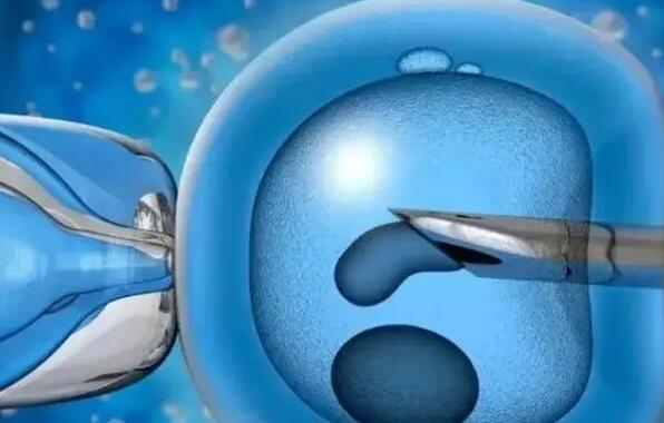 胚胎7细胞三级和6细胞二级试管移植哪个好看完你就知道了