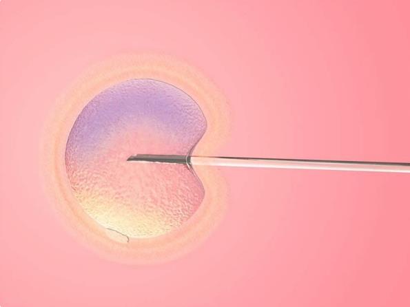 试管婴儿胚胎质量不好的原因这或许就是原因之一