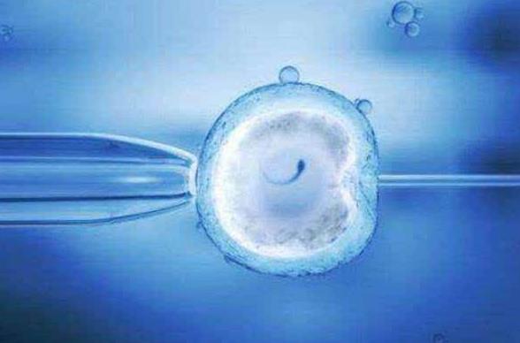 做泰国试管婴儿优质卵泡有什么标准，泰国试管婴儿移植前对内膜有什么要求
