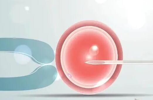 怎样做能提高试管婴儿成功率，试管婴儿冷冻胚胎有什么好处